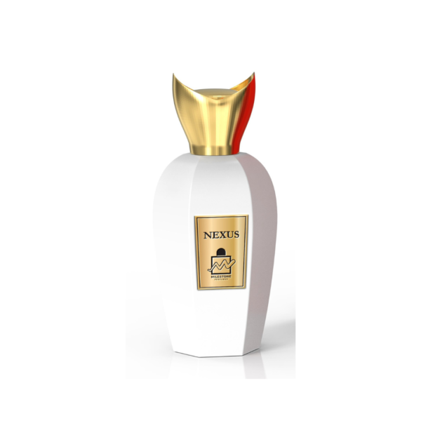 Nexus Perfume Caballero 100 ml Edp - Imagen 3